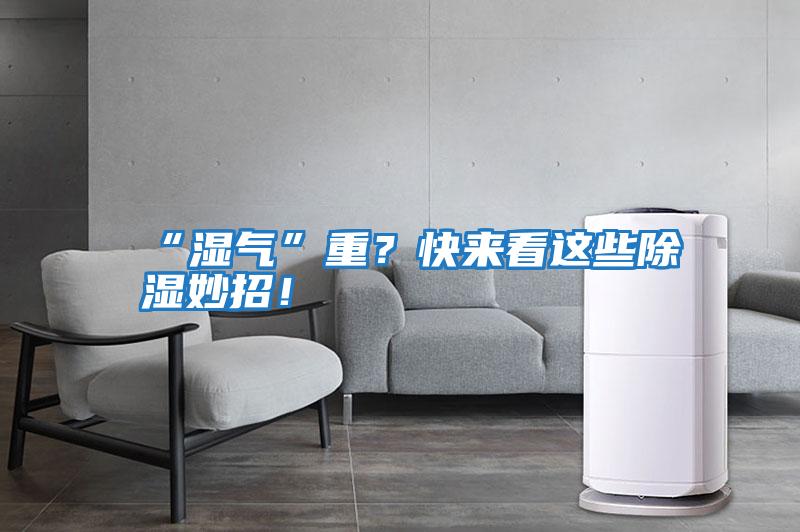 “濕氣”重？快來(lái)看這些除濕妙招！