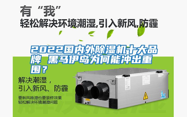 2022國內(nèi)外除濕機十大品牌 黑馬伊島為何能沖出重圍？