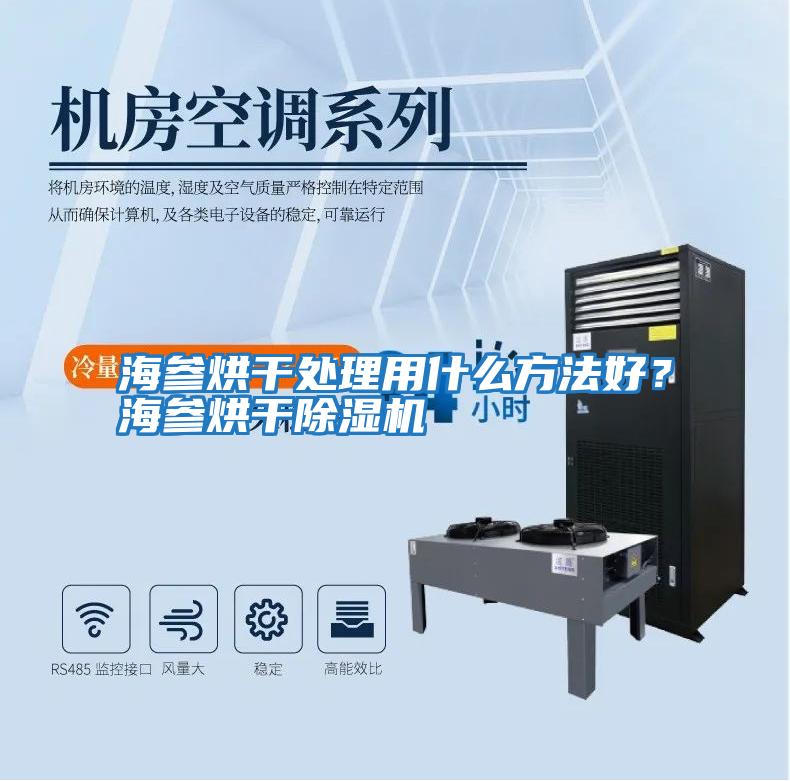 海參烘干處理用什么方法好？海參烘干除濕機