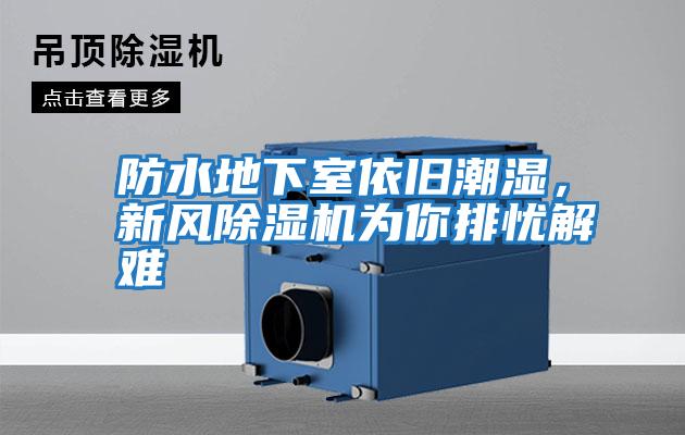 防水地下室依舊潮濕，新風(fēng)除濕機(jī)為你排憂(yōu)解難