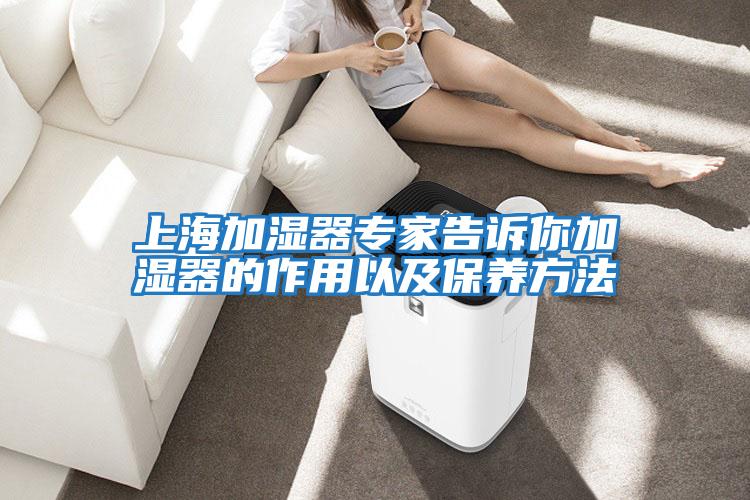 上海加濕器專家告訴你加濕器的作用以及保養方法