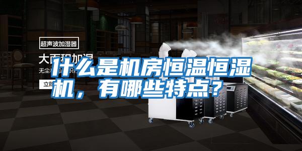 什么是機(jī)房恒溫恒濕機(jī)，有哪些特點(diǎn)？