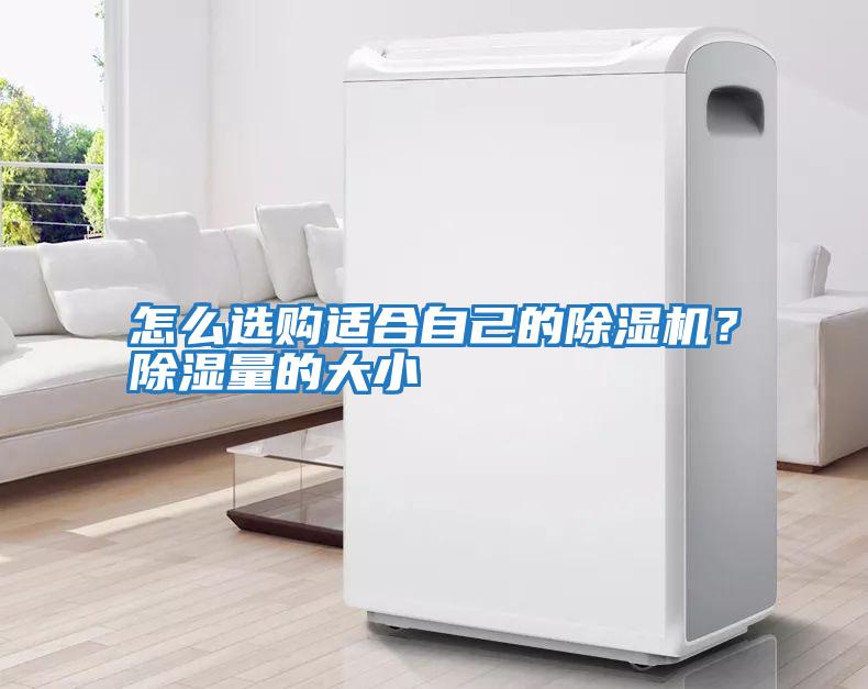 怎么選購適合自己的除濕機？除濕量的大小