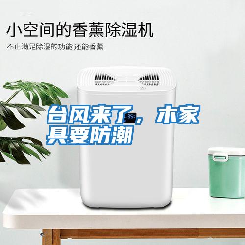 臺風來了，木家具要防潮