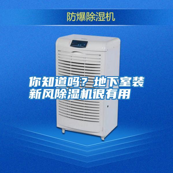 你知道嗎？地下室裝新風(fēng)除濕機很有用