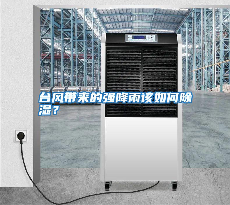 臺風(fēng)帶來的強降雨該如何除濕？