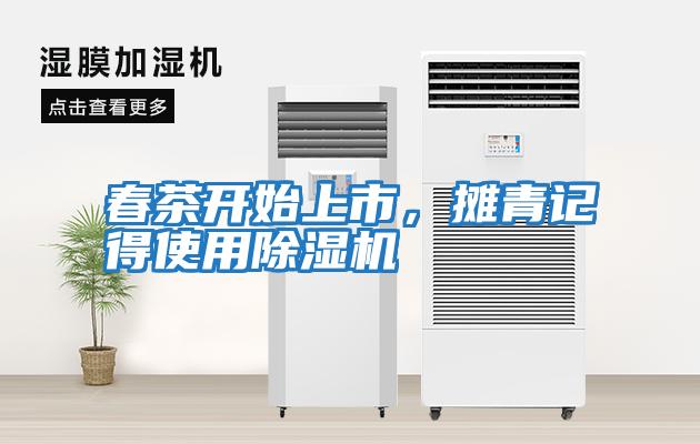 春茶開始上市,攤青記得使用除濕機(jī)