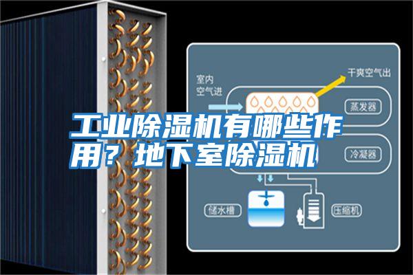 工業除濕機有哪些作用？地下室除濕機