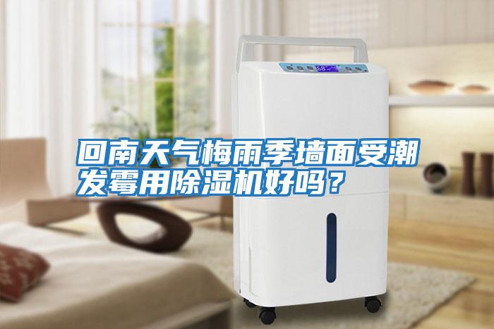 回南天氣梅雨季墻面受潮發霉用除濕機好嗎？