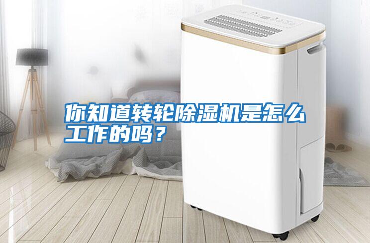 你知道轉(zhuǎn)輪除濕機是怎么工作的嗎？