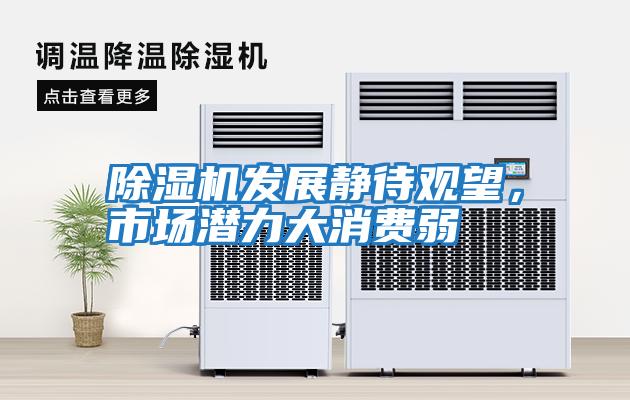 除濕機發展靜待觀望，市場潛力大消費弱