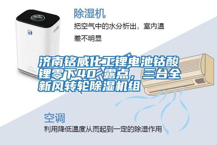 濟南銘威化工鋰電池鈷酸鋰零下40℃露點，三臺全新風轉(zhuǎn)輪除濕機組