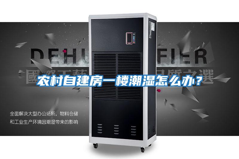 農(nóng)村自建房一樓潮濕怎么辦？
