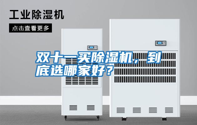 雙十一買除濕機，到底選哪家好？