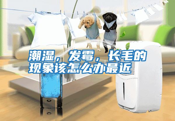 潮濕，發霉，長毛的現象該怎么辦最近