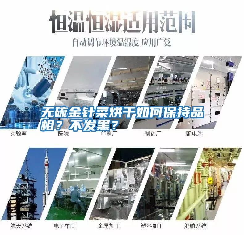 無硫金針菜烘干如何保持品相？不發(fā)黑？