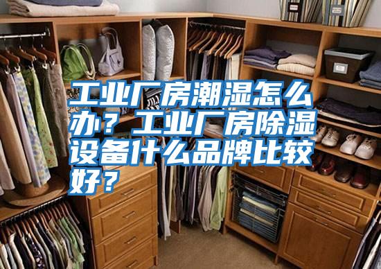 工業(yè)廠房潮濕怎么辦？工業(yè)廠房除濕設備什么品牌比較好？
