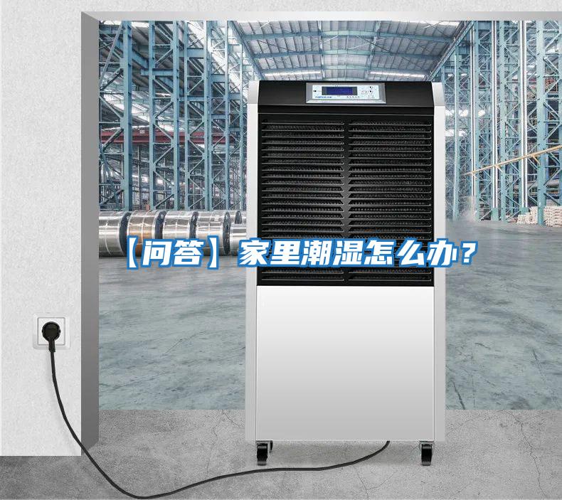 【問答】家里潮濕怎么辦？