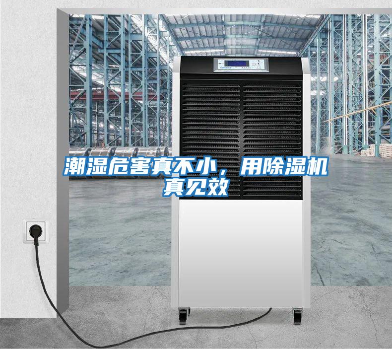 潮濕危害真不小，用除濕機(jī)真見效