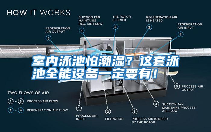 室內泳池怕潮濕？這套泳池全能設備一定要有！