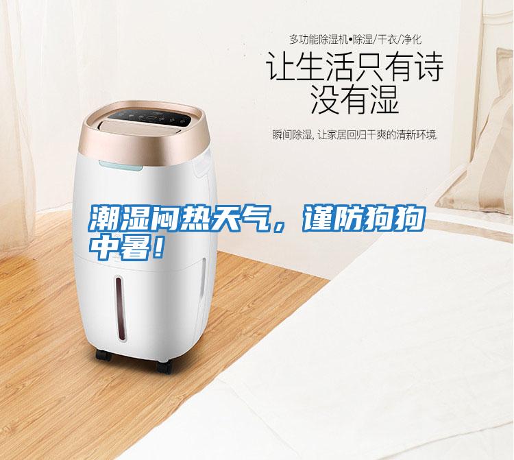 潮濕悶熱天氣，謹防狗狗中暑！
