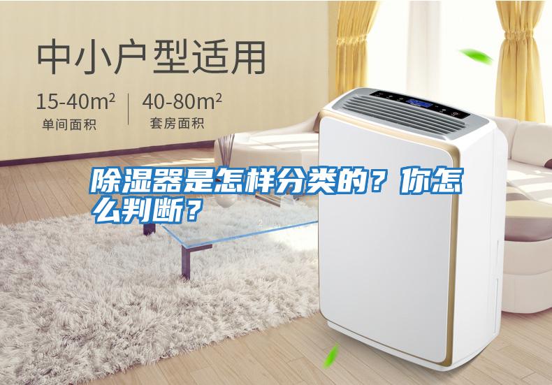 除濕器是怎樣分類的？你怎么判斷？