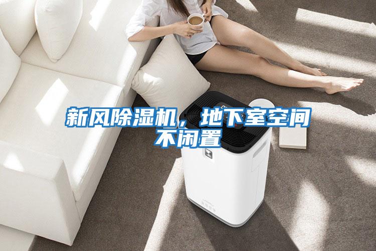 新風(fēng)除濕機，地下室空間不閑置