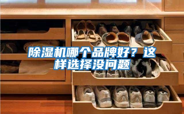 除濕機(jī)哪個(gè)品牌好？這樣選擇沒問題