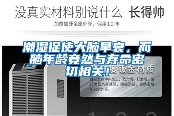 潮濕促使大腦早衰，而腦年齡竟然與壽命密切相關(guān)！