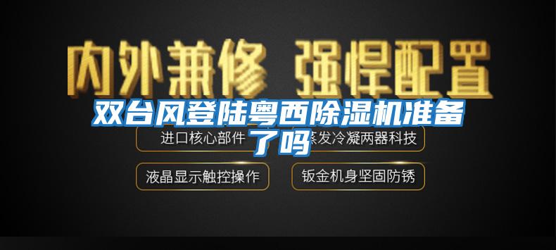雙臺風(fēng)登陸粵西除濕機準備了嗎