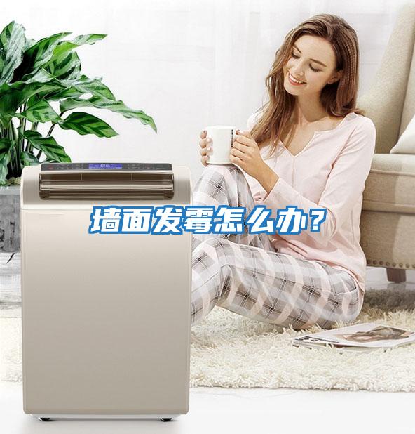 墻面發霉怎么辦？