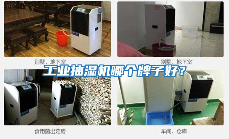 工業抽濕機哪個牌子好？