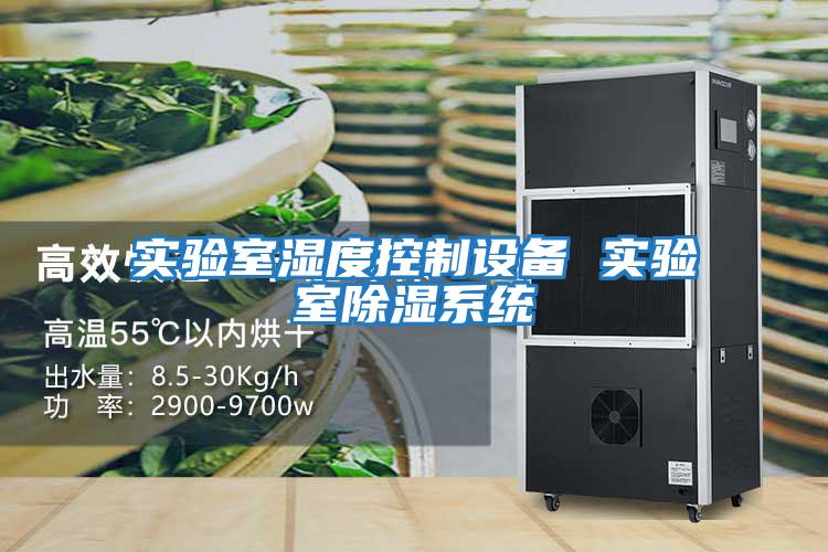 實驗室濕度控制設備 實驗室除濕系統