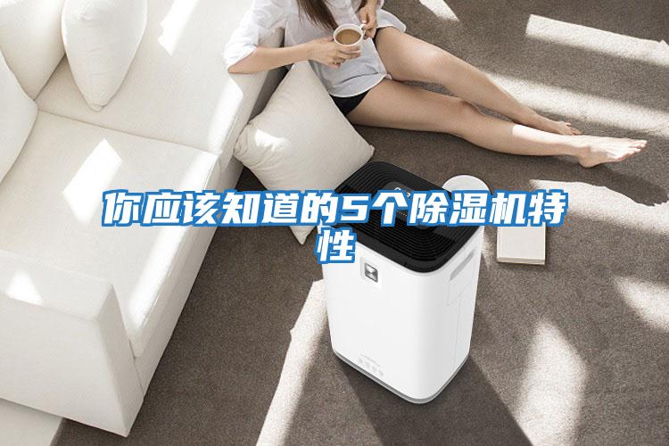 你應(yīng)該知道的5個除濕機(jī)特性