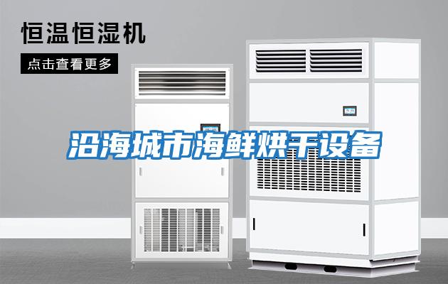 沿海城市海鮮烘干設備
