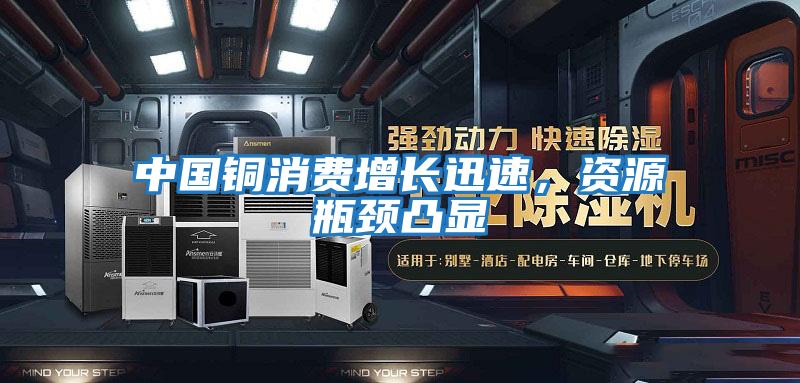 中國銅消費(fèi)增長迅速，資源瓶頸凸顯