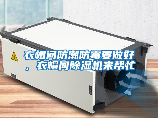 衣帽間防潮防霉要做好，衣帽間除濕機(jī)來(lái)幫忙
