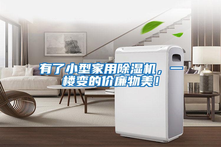 有了小型家用除濕機(jī)，一樓變的價(jià)廉物美！