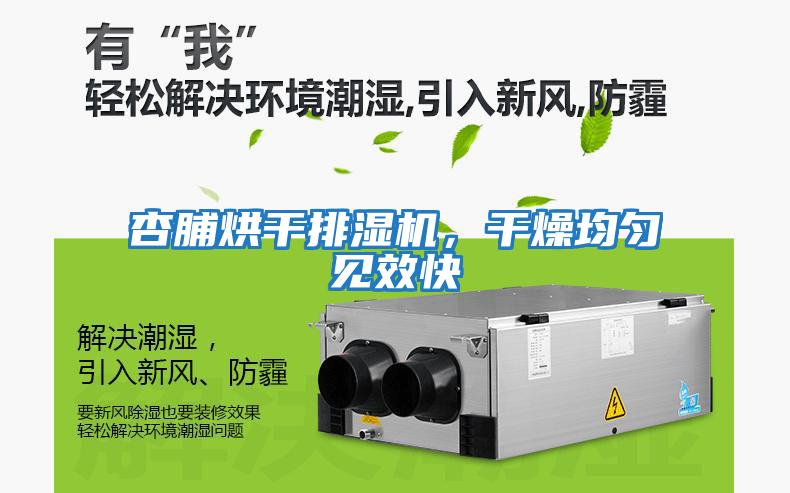 杏脯烘干排濕機，干燥均勻見效快