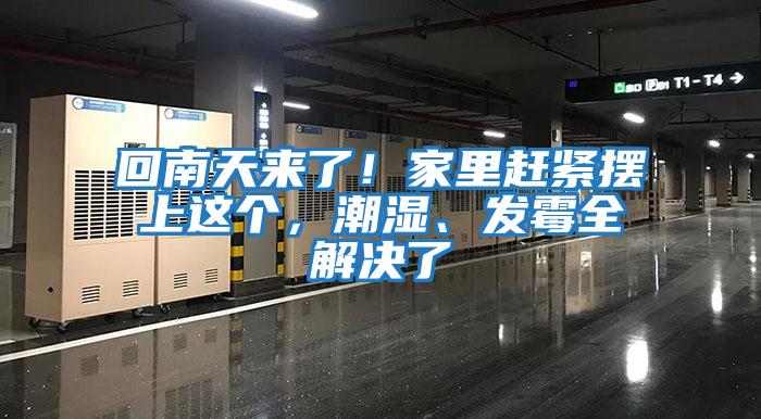 回南天來了！家里趕緊擺上這個(gè)，潮濕、發(fā)霉全解決了