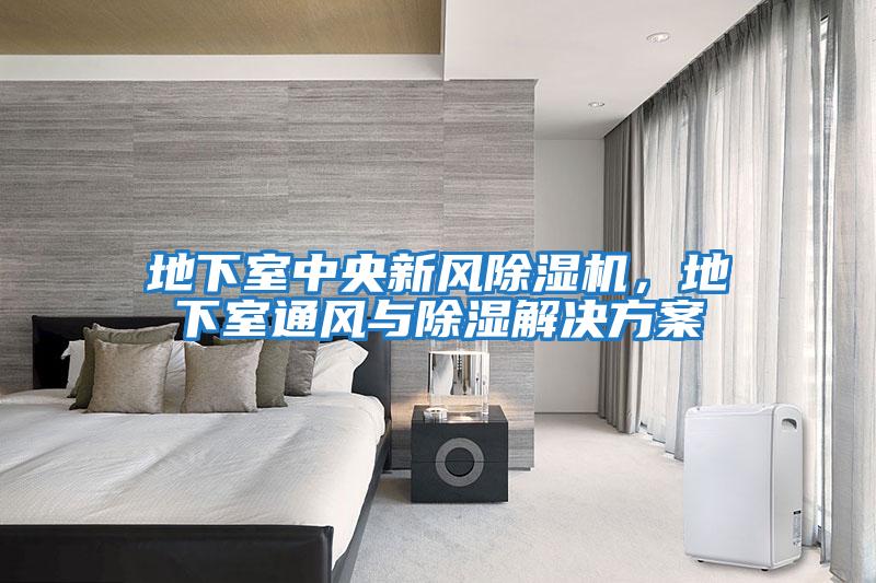 地下室中央新風除濕機，地下室通風與除濕解決方案