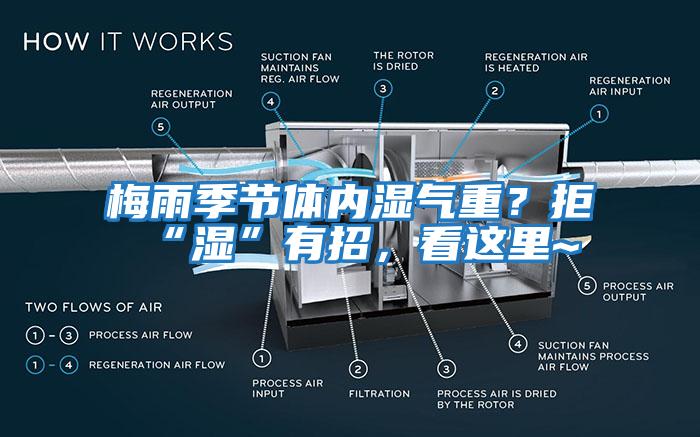 梅雨季節(jié)體內(nèi)濕氣重？拒“濕”有招，看這里~