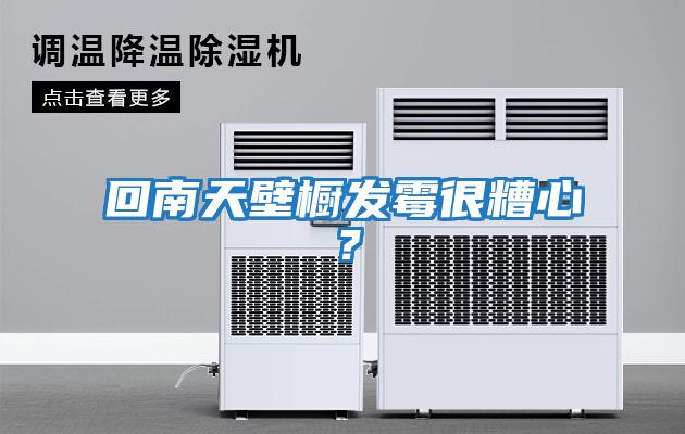 回南天壁櫥發(fā)霉很糟心?