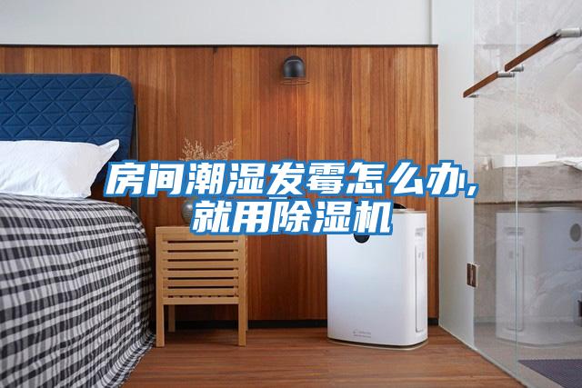 房間潮濕發霉怎么辦,就用除濕機