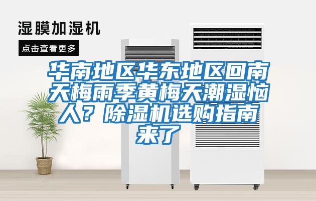 華南地區華東地區回南天梅雨季黃梅天潮濕惱人？除濕機選購指南來了