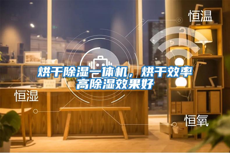 烘干除濕一體機(jī)，烘干效率高除濕效果好