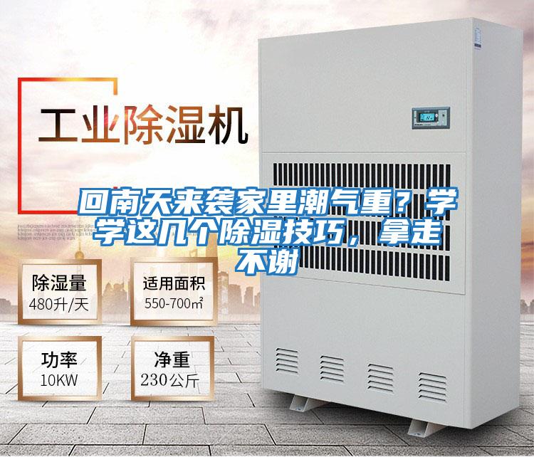 回南天來襲家里潮氣重？學學這幾個除濕技巧，拿走不謝