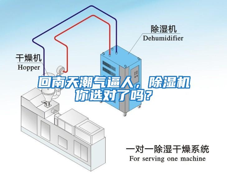 回南天潮氣逼人，除濕機你選對了嗎？