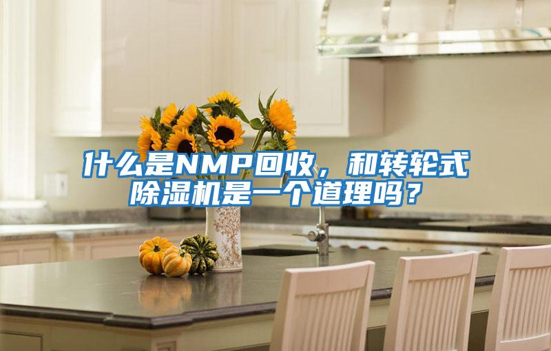 什么是NMP回收，和轉(zhuǎn)輪式除濕機(jī)是一個道理嗎？