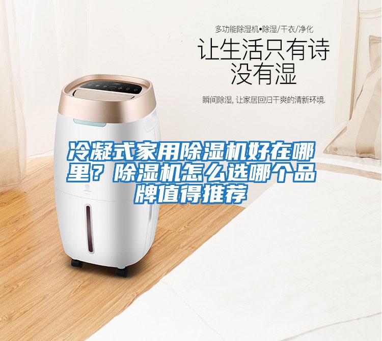 冷凝式家用除濕機好在哪里？除濕機怎么選哪個品牌值得推薦